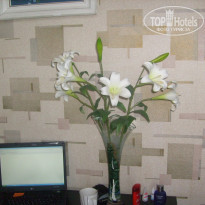 фото из отзыва ID 680306