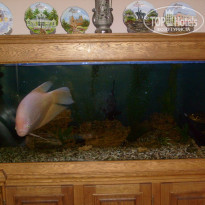 фото из отзыва ID 680306