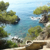 фото из отзыва ID 680335