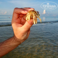 фото из отзыва ID 680348