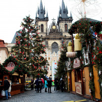 фото из отзыва ID 680241