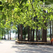 фото из отзыва ID 680728