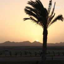 фото из отзыва ID 681006