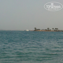 фото из отзыва ID 681344