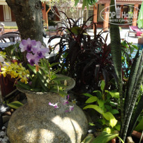 фото из отзыва ID 681412