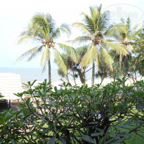 фото из отзыва ID 681589