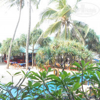 фото из отзыва ID 681589