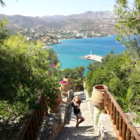 фото из отзыва ID 681798