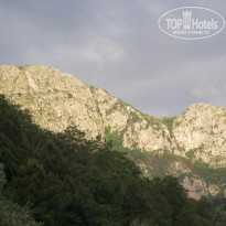 фото из отзыва ID 681912