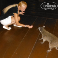 фото из отзыва ID 682030