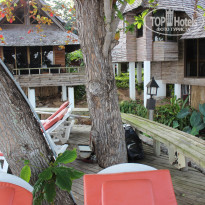 фото из отзыва ID 682472