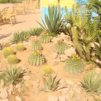 фото из отзыва ID 682873