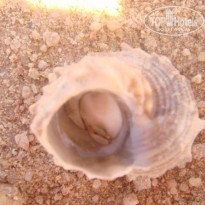 фото из отзыва ID 682873