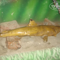 фото из отзыва ID 682873