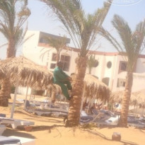 фото из отзыва ID 682873