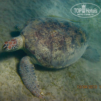 фото из отзыва ID 683211