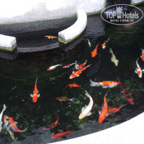 фото из отзыва ID 683092