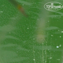 фото из отзыва ID 683092