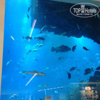 фото из отзыва ID 683235