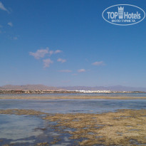 фото из отзыва ID 683743