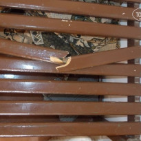 фото из отзыва ID 683648