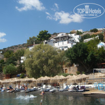 фото из отзыва ID 683812