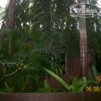 фото из отзыва ID 683862