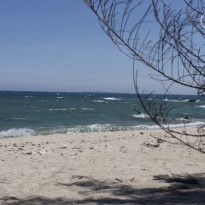 фото из отзыва ID 683341