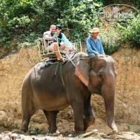 фото из отзыва ID 684721