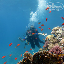 фото из отзыва ID 684251