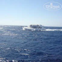 фото из отзыва ID 684251