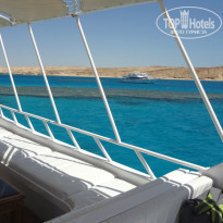 фото из отзыва ID 684251