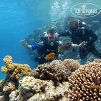 фото из отзыва ID 684251