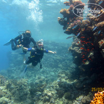 фото из отзыва ID 684251