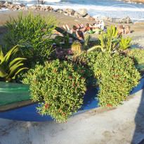 фото из отзыва ID 684130