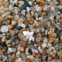 фото из отзыва ID 684206