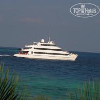 фото из отзыва ID 684219