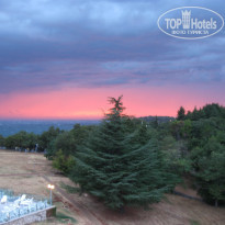 фото из отзыва ID 684906