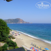 фото из отзыва ID 685519