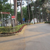 фото из отзыва ID 685472