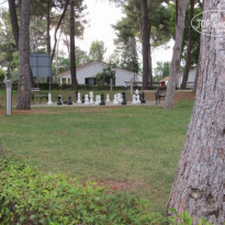 фото из отзыва ID 685472