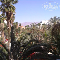 фото из отзыва ID 685592