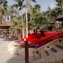 фото из отзыва ID 685592