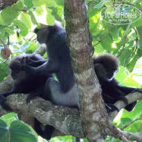 фото из отзыва ID 686290