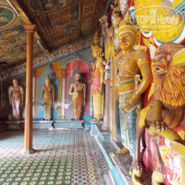 фото из отзыва ID 686290