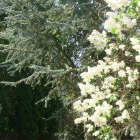 фото из отзыва ID 686626