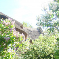 фото из отзыва ID 686626