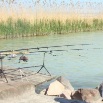 фото из отзыва ID 686626