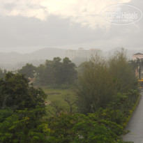 фото из отзыва ID 686762