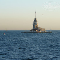 фото из отзыва ID 686794